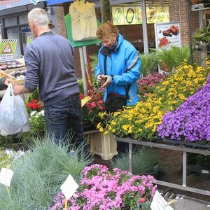Fa. Stins en Vijn image 1