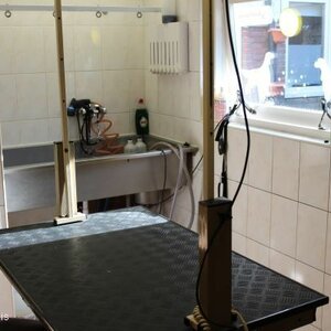 Anoebis Hondentrimsalon image 1