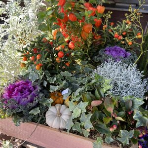 Bloemenwinkel Thuis image 5