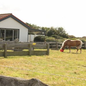 Recreatieservice Texel image 2