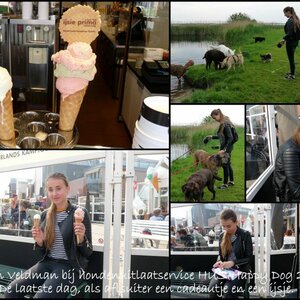 HUS-Happy Dog image 3