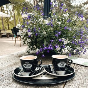 Het Turfveld image 3