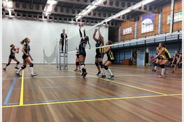 Dinto doet wat het moet doen