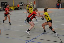 Focus ontbreekt bij Geel Zwart