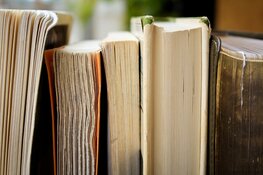 Bibliotheek op School ook voor volwassenen