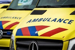 Auto knalt tegen boom op N502 bij Callantsoog