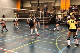 Dinto zegeviert in Enkhuizen