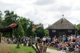 Landgoed Hoenderdaell verkozen tot 'Leukste uitje van Noord-Holland'