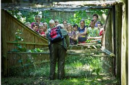 Kijkje achter de schermen bij eendenkooi ‘t Zand