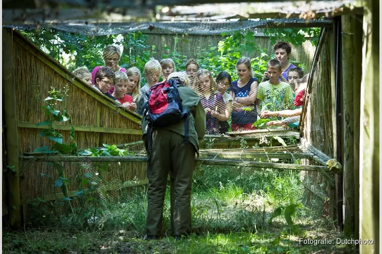Kijkje achter de schermen bij eendenkooi ‘t Zand