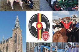Wo. 10 April Stalletjesmarkt Paasvee Schagen 2019