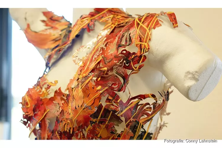 Creatieve Workshops en dansdemonstraties tijdens expositie Noordkopkunst