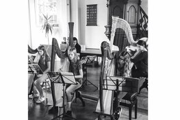 Schager Harpenensemble brengt ’Dromen’ in het Scagon Theater