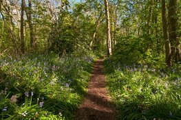 28 april Open dag Wildrijk met fraaie nieuwe Entree