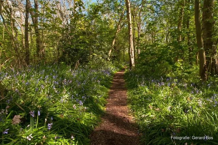 28 april Open dag Wildrijk met fraaie nieuwe Entree