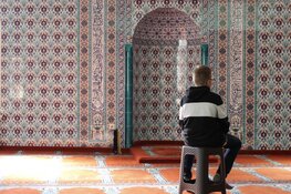 Burgerschapsdagen op Het Molenduin