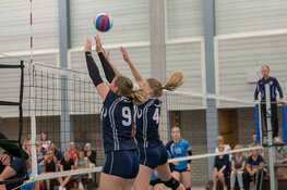 Dinto in de wachtkamer