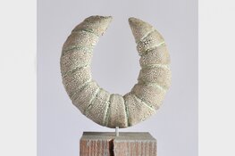 Muzikaal kwartet Coles Tibio op koningsdag en workshop zand en klei op 28 april bij expositie Noordkopkunst