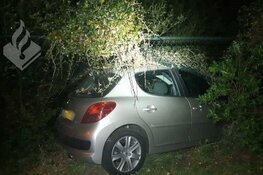 Vakantieganger met slok op rijdt door hek heen