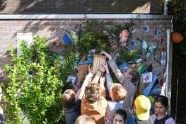 Provincie maakt 200 bijenhotels op scholen mogelijk