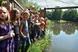 Waterbeestjes vangen in Eendenkooi ‘t Zand