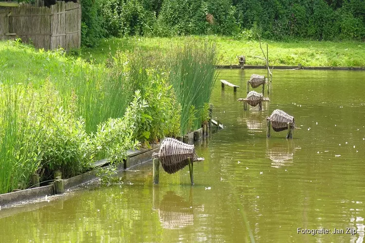 Neem je vader mee voor een rondje Eendenkooi