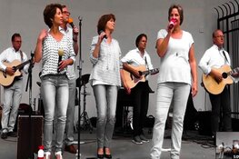 Komende zondag 7 juli in de muziektuin