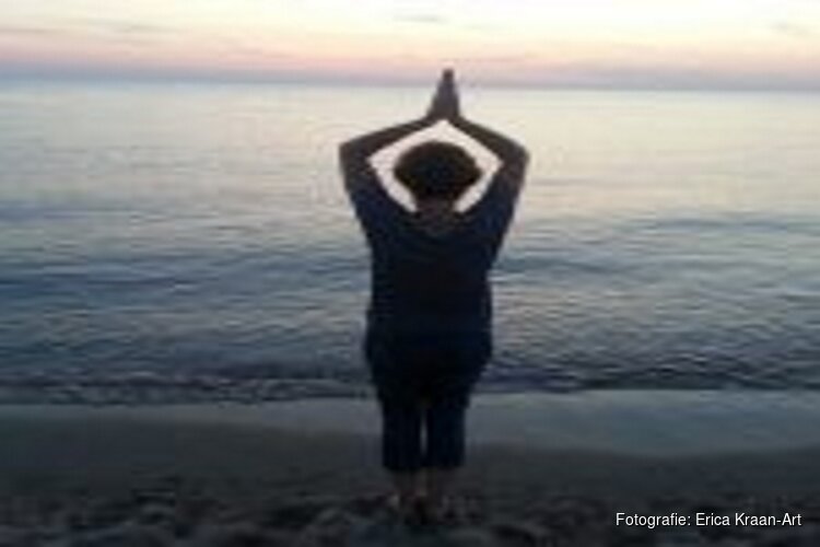 Zhineng Qigong & Boetseren Beeld