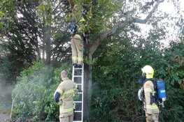 Boom in brand in Schagen