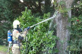 Boom in brand in Schagen