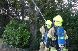 Boom in brand in Schagen