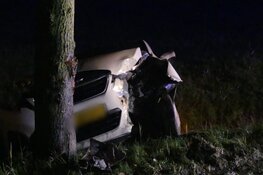 Auto tegen boom in Waarland