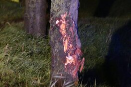 Auto tegen boom in Waarland