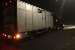 Veel schade bij ongeluk in Schagen