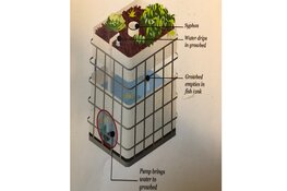 Basisschool de Zwerm genomineerd voor de TechniekTrofee 2020