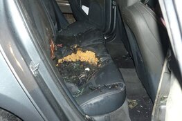 Auto in brand in Schagen