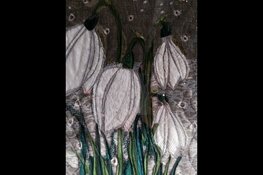 Schilderijen van stof in bieb Tuitjenhorn