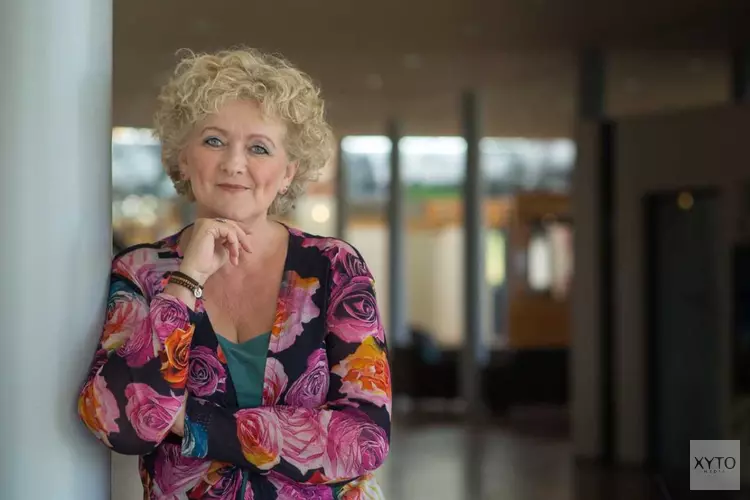 Ontdek je plakfactor