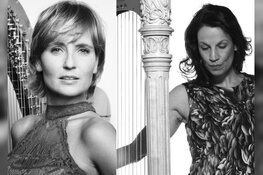 Twee harpen klinken in bonte veelheid aan klankkleuren in het Scagon Theater