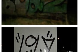 Twee jonge graffitispuiters bij schuur in Oudesluis betrapt, gevlucht maar tóch gearresteerd