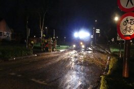 Boom op wegdek Verzetslaan