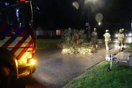 Boom op wegdek Verzetslaan