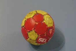 Ramon van Dijk nieuwe trainer hoofdmacht Geel-Zwart handbal