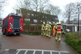 Boom Schagen over de weg