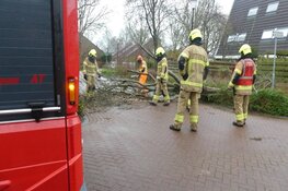 Boom Schagen over de weg