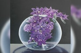 Schilderijen Nico de Roo in de bieb van Schagen