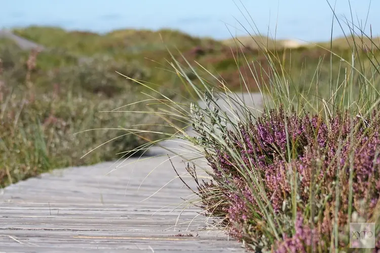 Rookverbod in natuurgebieden en coronaregels