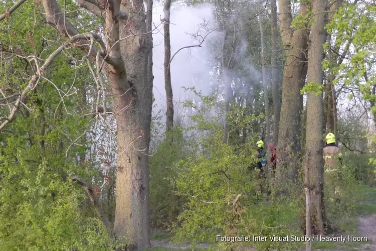 Brandje Vliedlaan snel geblust
