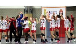 Promotie voor VZV dames 2 en 3, ZAP blijft in 1e Divisie