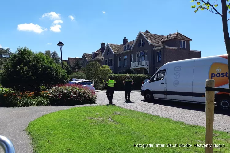 Lichte schade bij botsing op de Laan